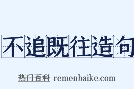 不追既往造句是什么意思的图片